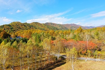 Obraz premium 日本のリゾート地 開田高原を空撮