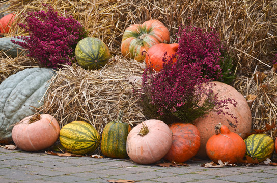 Herbstlich Geschm&uuml;ckt