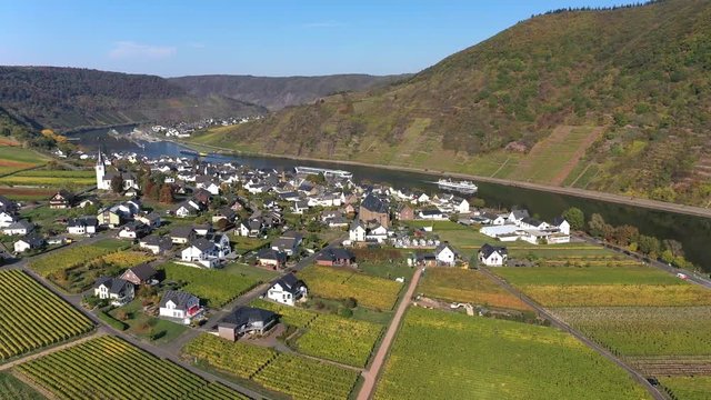 Aerial view of vineyards in autumn near Polterndorf with Metternich castle,, Moselle River, Moselle Valley, Cochem &ndash; Zell, Rhineland-Palatinate, Germany