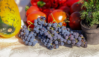 Grapes sold at the fair in the fall