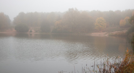 Oldenstätter See im Nebel