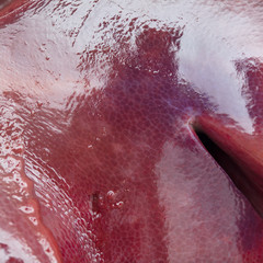 Pork liver pork as an abstract background