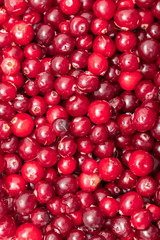 Red cranberry berries as a background