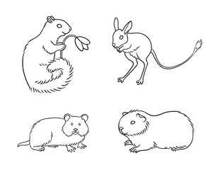 Set #1 of rodents in contours - vector illustration