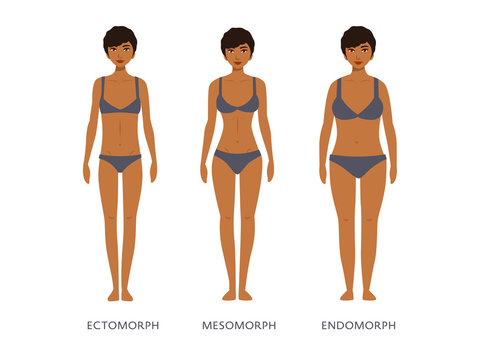 Human body types. Women as endomorph, ectomorph and mesomorph.
