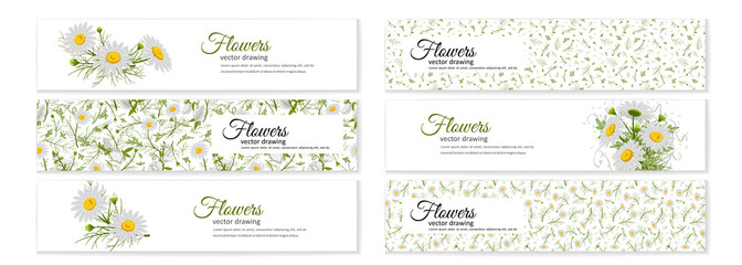 Floral posters, banners, greeting card - camomiles.