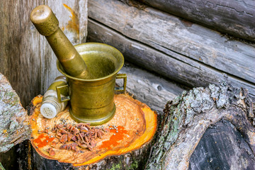 Bronze old stupa and saltcellar next to the star aniseens, paprika and cilantro on a freshly sawn...