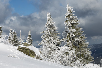 Fototapeta na wymiar Winterlandschaft am Gr. Arber