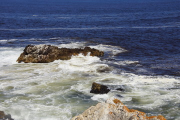 Fototapeta na wymiar Beautiful coast at Hermanus, South Africa