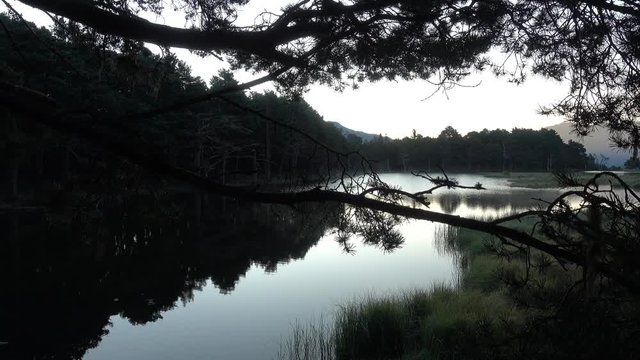 Lake at sunset from the bassa de oles in the valley of aran