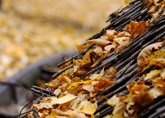 Autumn background of a thatched roof on which are fallen yellow leaves