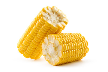Corn on a white background