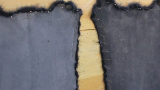 Video of mink's pelts in the workshop