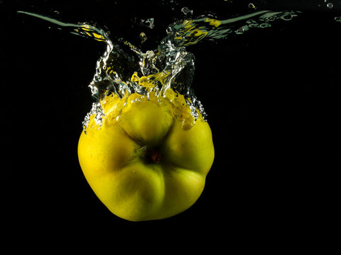 Yellow Quince Spash In Water On Black