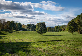 Lone Maple Tree in a Hudson Valley Hayfield