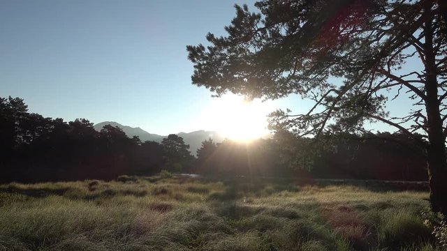 Lake at sunset from the bassa de oles in the valley of aran
