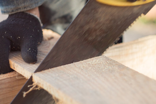 saw boards with a hand saw on a tree, a saw of a tree with a hacksaw