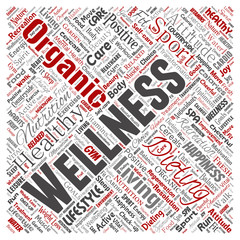 Vector conceptual healthy living positive nutrition sport square red word cloud isolated background. Collage of happiness care, organic, recreation workout, beauty, vital healthcare spa concept