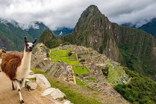 Machu Picchu - the lost city of the Incas, Peru