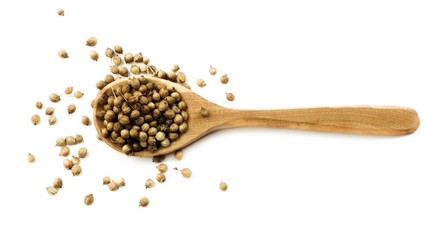 Coriander Seeds in Wooden Spoon