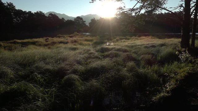 Lake at sunset from the bassa de oles in the valley of aran