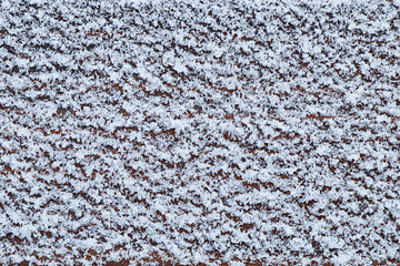 Winter background. Texture of fresh cold white snow.