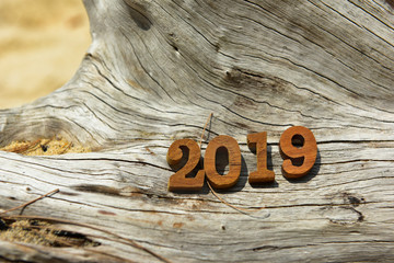 Top view of number 2019 on wood log, nature concept and wood number idea