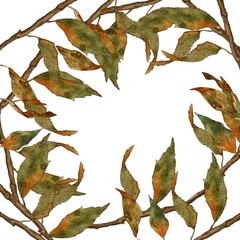Autumn leaves frame watercolor