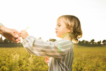 Little girl playing with plants in the field