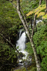 竜頭ノ滝　栃木県　日光市　