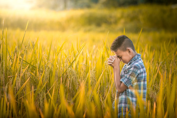 Boy praying in rice field.