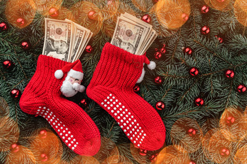 Background of fir branches. Santa's red stockings with money. Christmas card. Top view. Effect of...