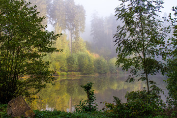 Morgennebel am Tech