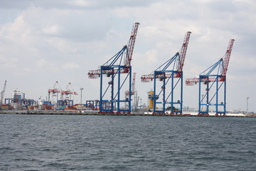 cranes in the port