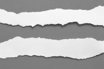Fototapeta premium pieces of torn paper texture background, copy space.