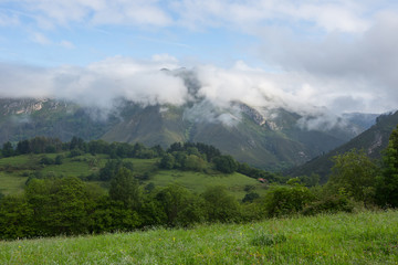 Picos de Europa