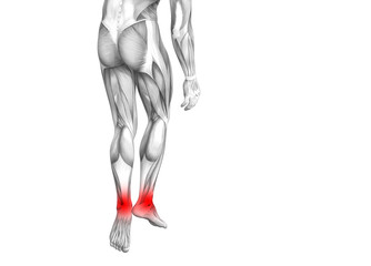 Conceptual ankle human anatomy with red hot spot inflammation or articular joint pain for leg health care therapy or sport muscle concepts. 3D illustration man arthritis or bone osteoporosis disease