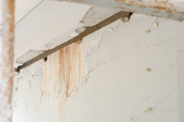 Water Damage On Fungus Mold Weathered Wall