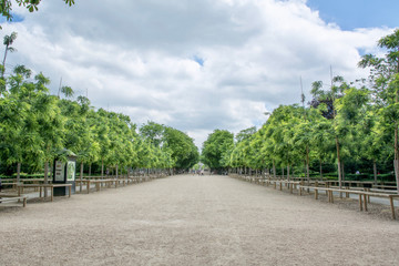 Road in the park