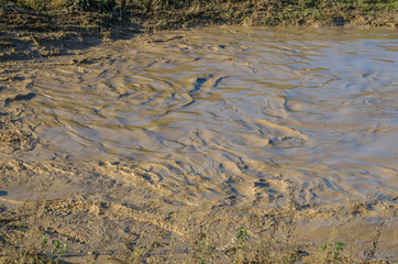 Mud texture background