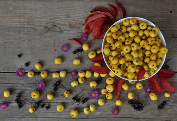 Still life with small yellow apples and ash on wooden table