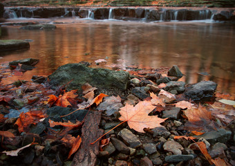 Autumn in the Creek