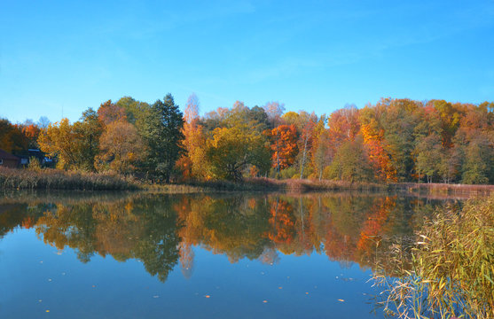 Autumn landscape with yellow trees, reflection and blue sky © Elena