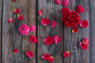 Red rose flower petal on wooden background 