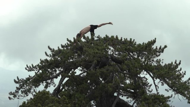 Yogi man with long hair does yoga pray on the top of pine tree at the mountain area of Cyprus, top of the world