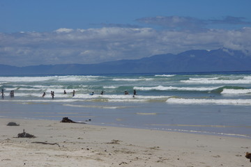 Fototapeta na wymiar The coast at Hout Bay near Capetown, South Africa