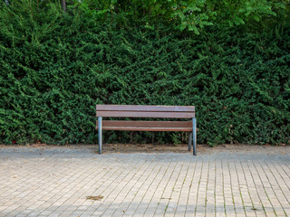 Single Wooden Bench on Brick Floor with Dense Vegetation in the Background