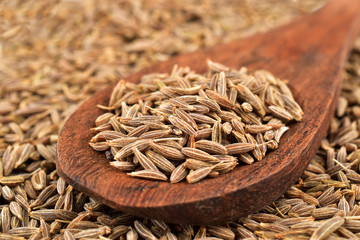 cumin seeds with wooden spoon , spices concept