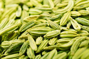 close up image of Healthy Fennel Seed or Saunf Indian Traditional Digestive Food and mouth freshner