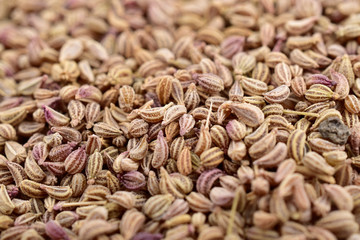 macro image of Ajwain Also Know as Ajowan, Caraway or Trachyspermum Ammi